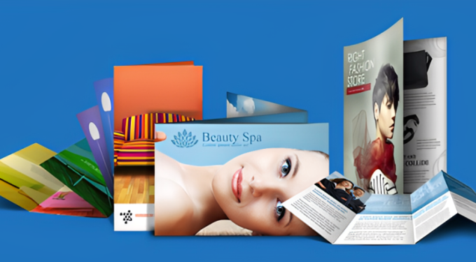 TD-Dragon Việt Nam