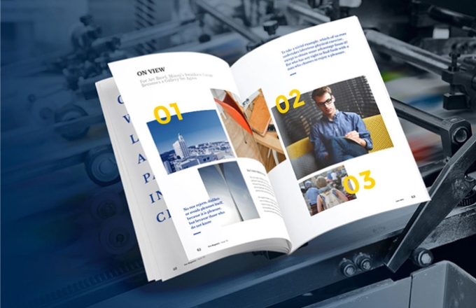 TD-Dragon Việt Nam